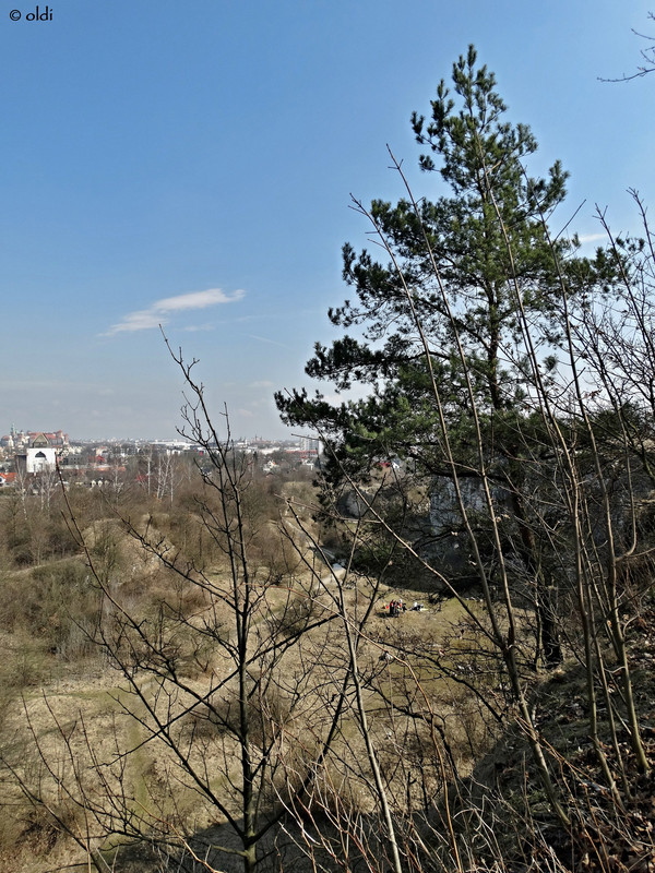 DSC07372