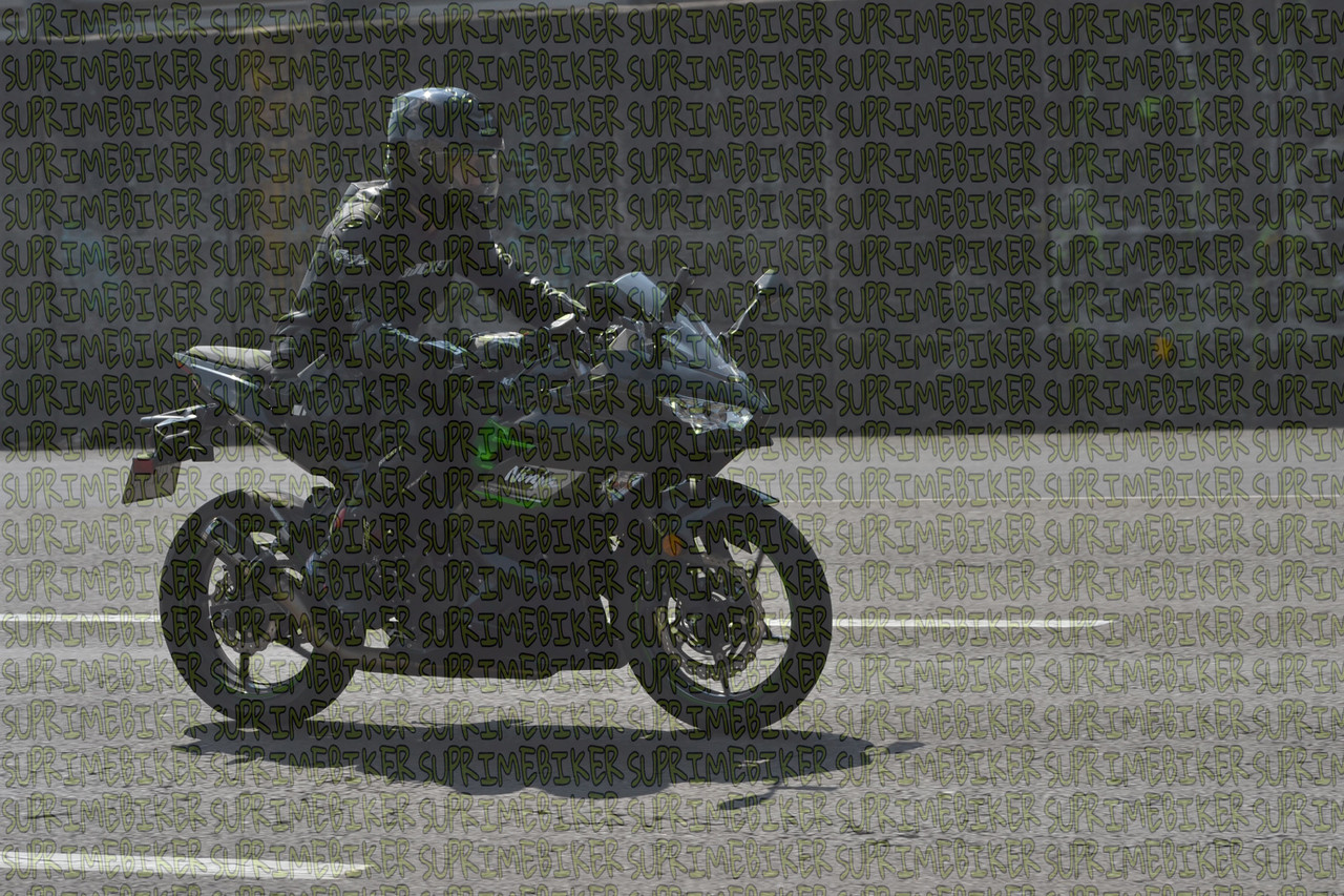DSC 0209