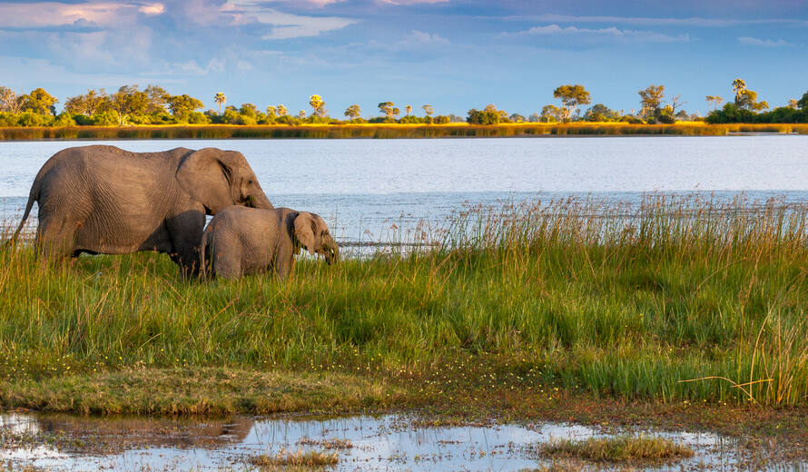 Okavango Delta
