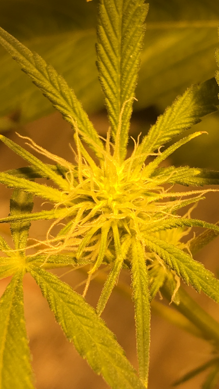 5E4A6014-B73D-4505-B69A-DB395EA07FDA