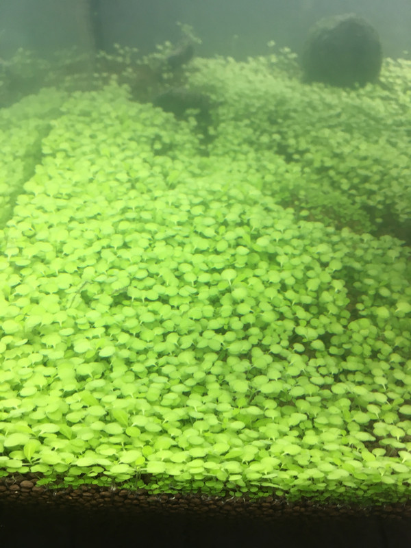 2CD48F30-0704-4332-A0B6-88F89D2C6861