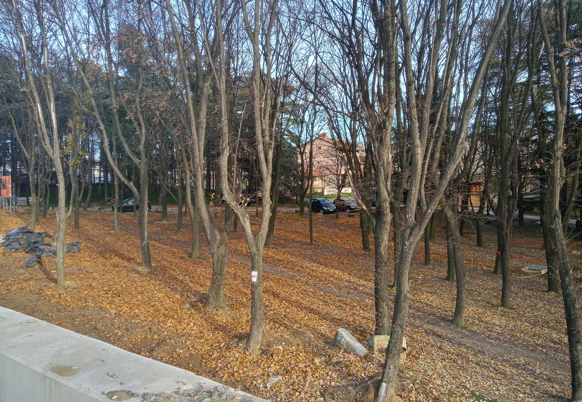 20201205_133249_HDR(1)