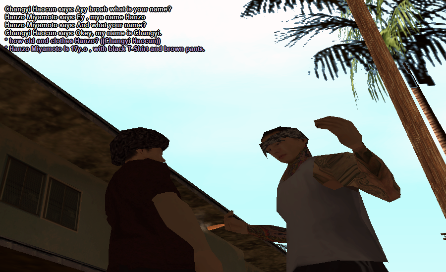 SSRP-3-Asian-Hood-Crime-Ama-Gian.png