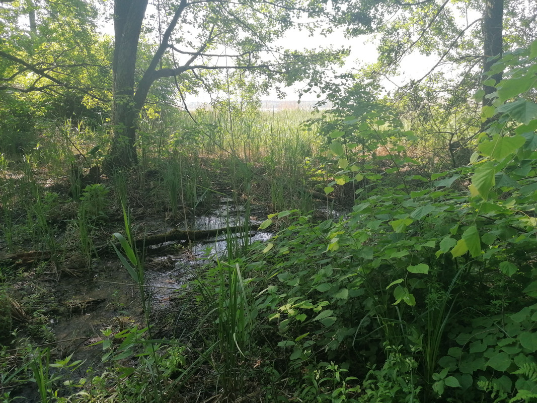 09.23 - IMG_20210604_100419 (Czesio1)