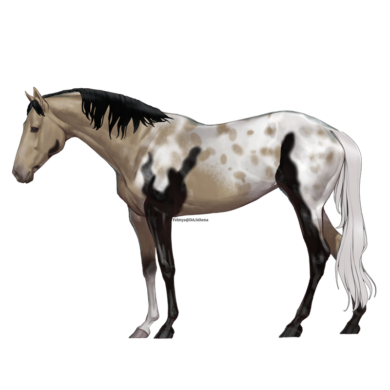Untitled88-20250331152546.png