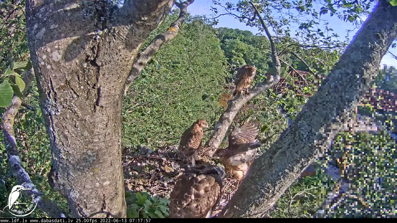 _9-33-37 screenshot (2)