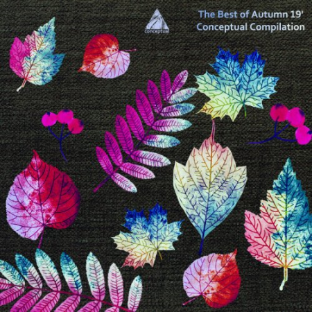 VA - The Best of Autumn 19' Conceptual Compilation (2019) FLAC