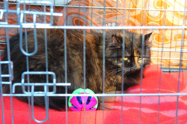 B587A3FE-854F-414D-B538-DEA9BBF401A6