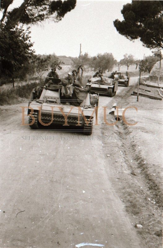 Sturmgeschütz Langrohr Panzer-Abtl. in Italien Südfront