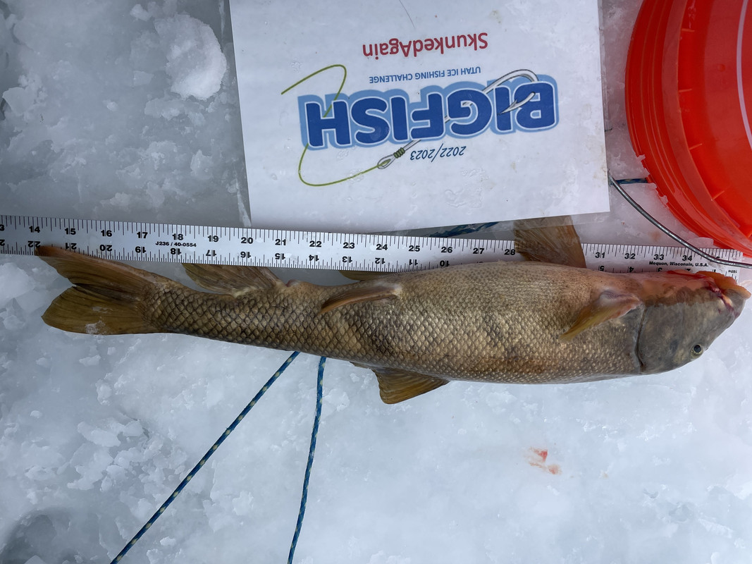 FD96E1BD-6E3D-4342-B4E2-2FB0108FDE95