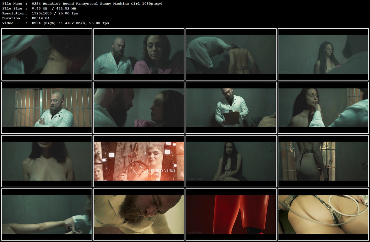 0254 Beauties Bound Fancysteel Bunny Machine Girl 1080p.mp4