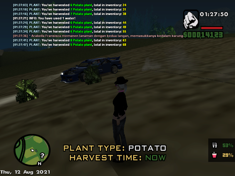 sa-mp-201.png