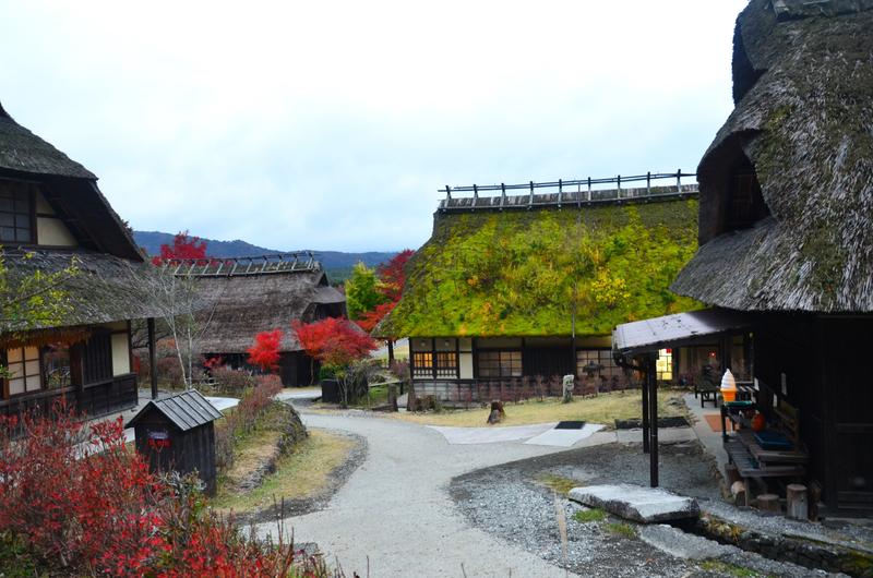 Saiko Iyashi no Sato Nenba-16-11-2024 - Japón y sus Pueblos-2024 (29)