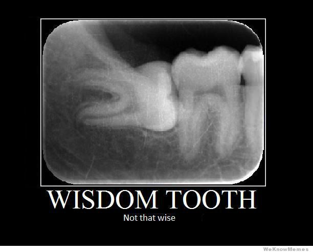 Dentist in Greenwood, In