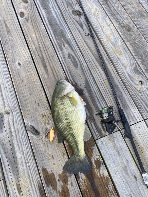 508F61D0-A4DB-463A-8904-80EF64889067