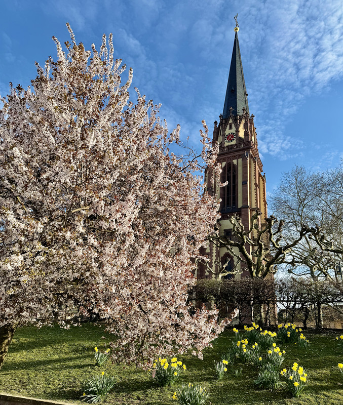 9F565320-00ED-4692-A367-B8CEAF9ED6D4_1_201_a