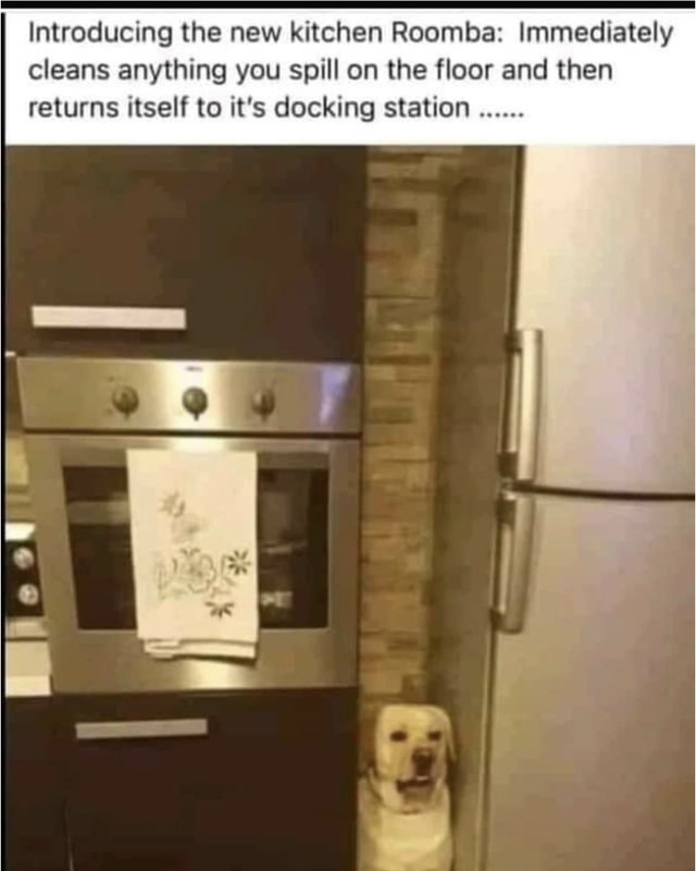 C1521257-AD5F-4292-9970-3B8D913F4999