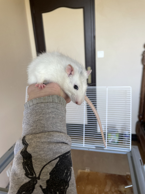 113C42A0-3177-4C24-9726-FC31DA0FFE9E