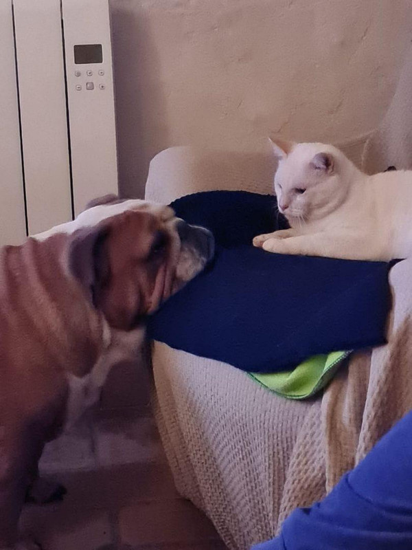 Cali - 16.10.2022 - 2