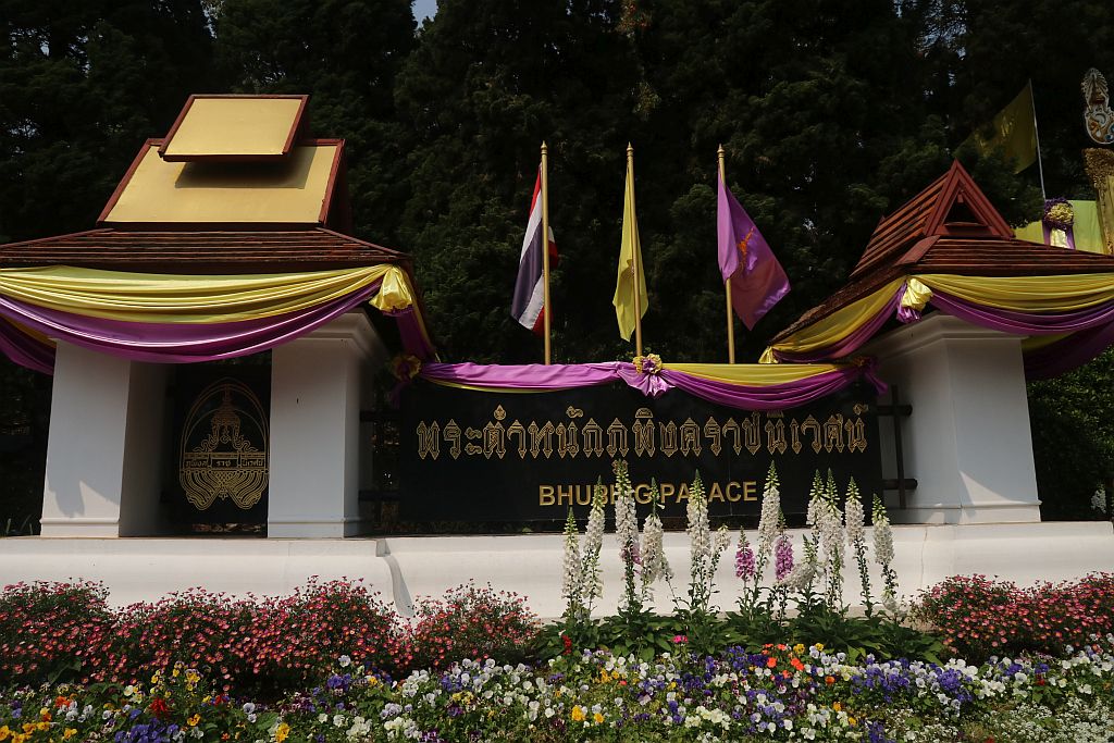 https://i.postimg.cc/447JHLGy/IMG-7428.jpg