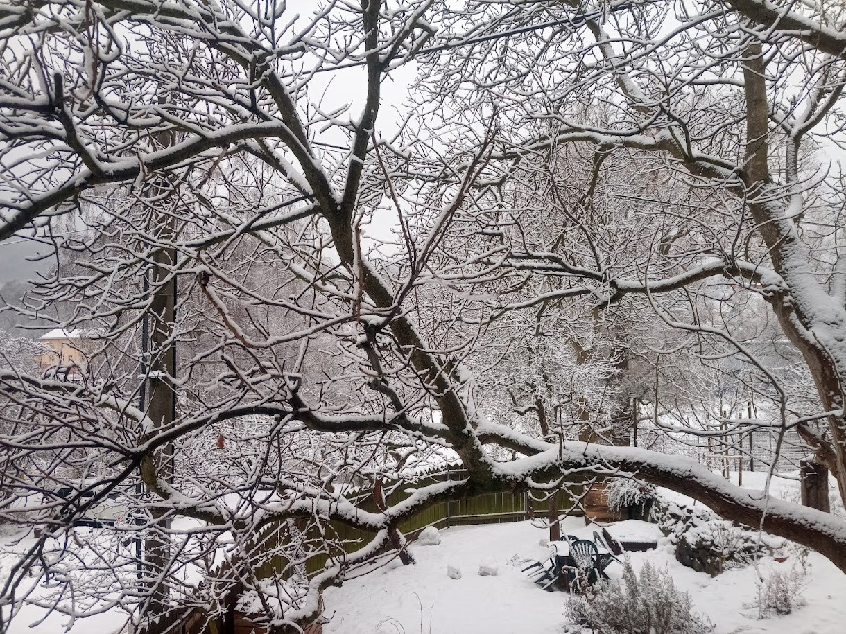 IMG 20260129 122443 557