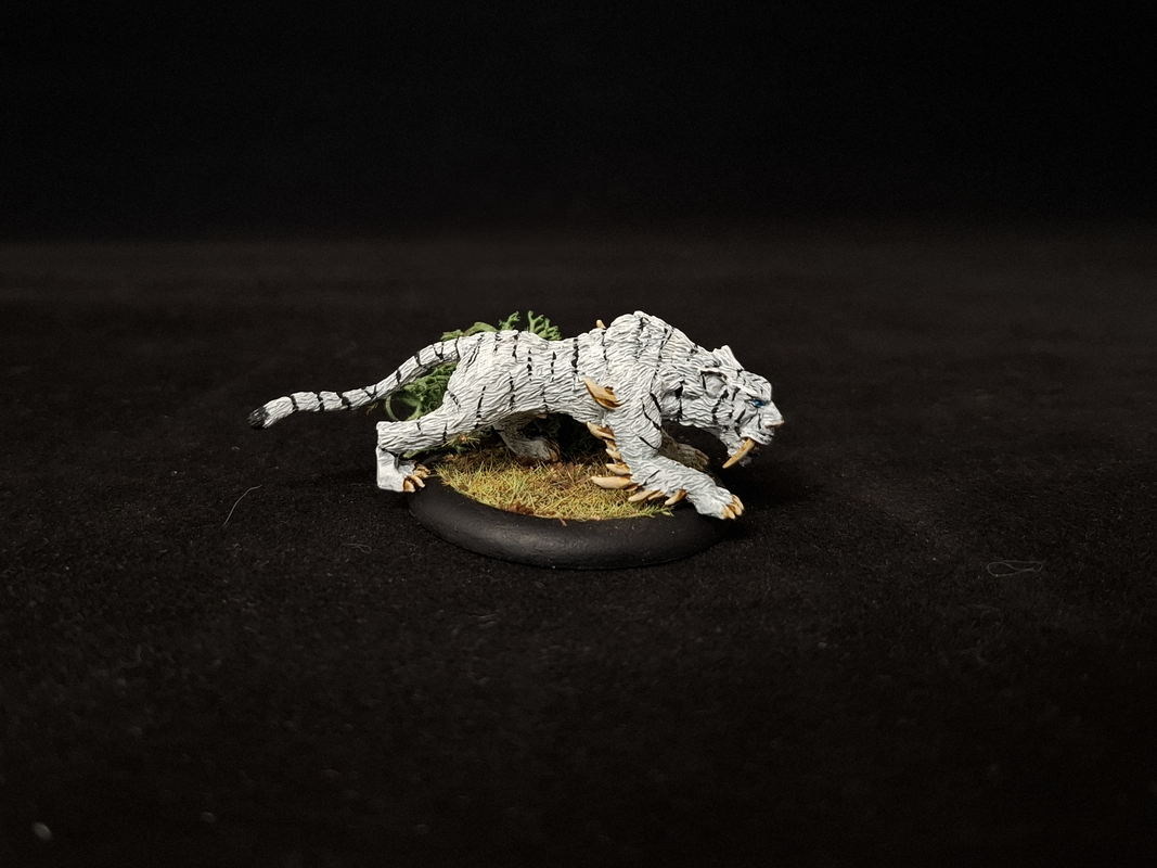 [Image: Elfe-nuit-eclaireur-08.png]