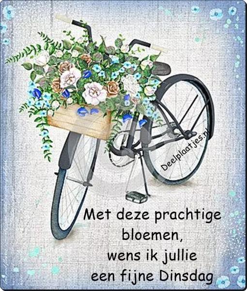 An den Beitrag angehängtes Bild: https://i.postimg.cc/447Yh9Qh/deelplaatjes-nl-anette-dinsdag-428896.jpg