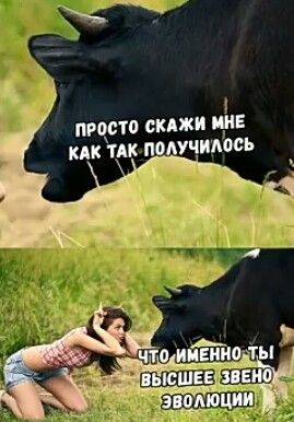 [Изображение: 2193dc9d00b7ef664cc8f77dbcfde7ca.jpg]