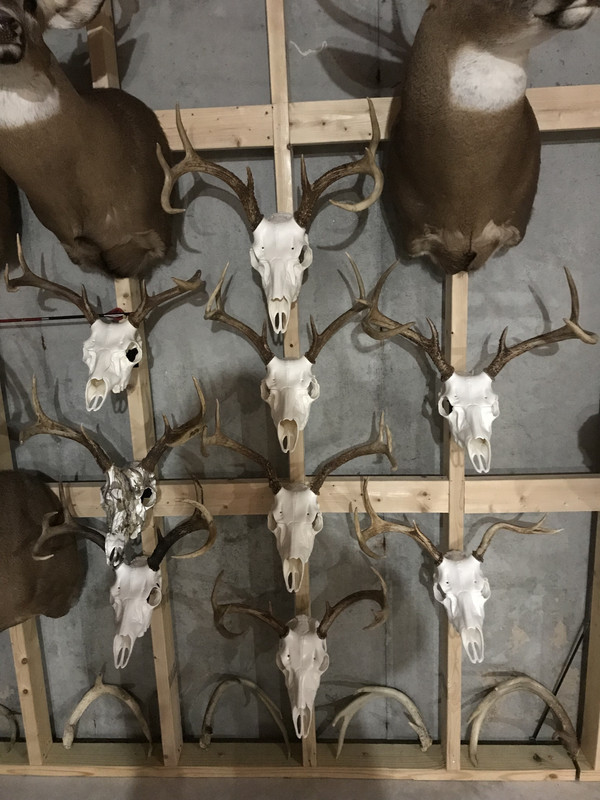 E509D008-DB27-444A-8EA0-534B4B89BBCB