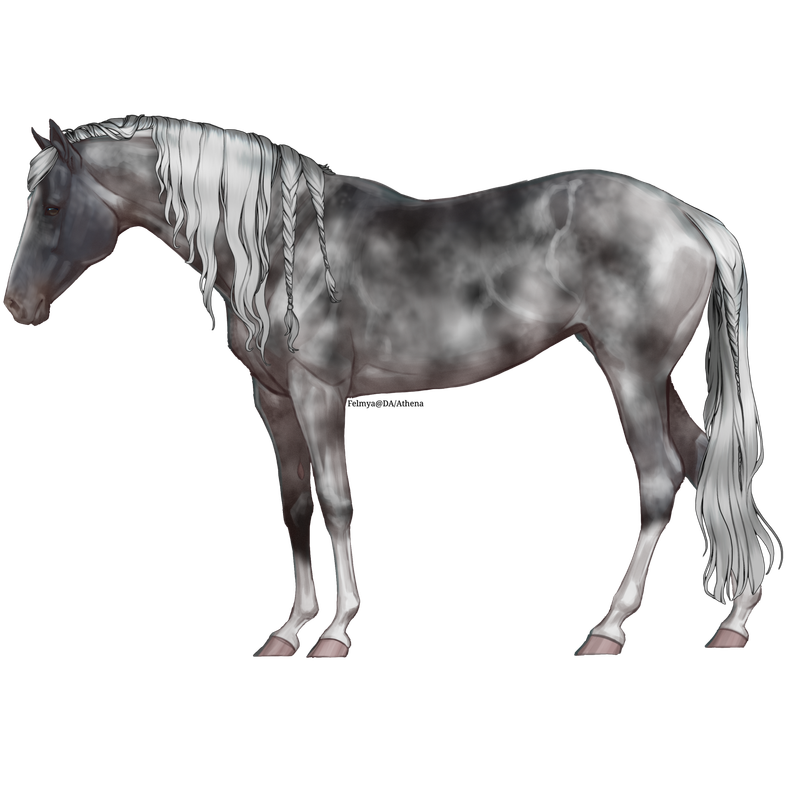 Untitled88-20250713204753.png