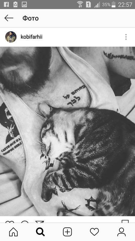 Screenshot_2018-09-21-22-57-54