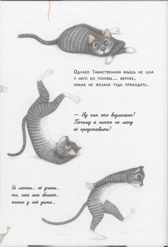Зоболи Дж., ди Андреа Л. - Полосатый кот и Таинственная мышь - 2018_page-0022