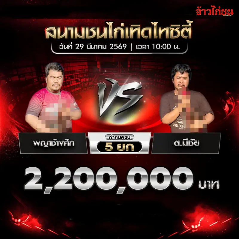 พญาช้างศึก พบ ต.มีชัย โปรแกรมไก่ชน สนามชนไก่เทิดไทซิตี้ 29 มีนาคม 2569