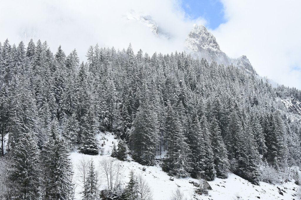 DSC-1999-Paysage-a-Kandersteg-le-18-04-2