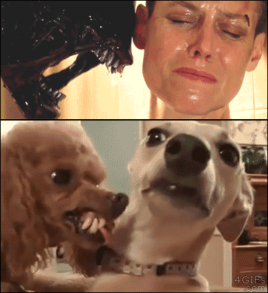 alien-dog-threat.gif