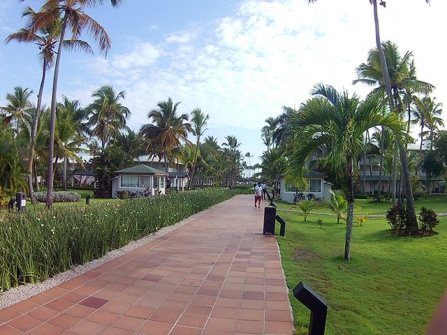 DIA 3 - HOTEL GRAND SIRENIS PUNTA CANA - Hotel Grand Sirenis Punta Cana + Samana + Cortecito (5)