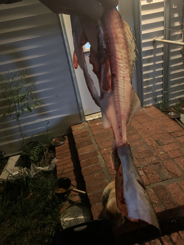 D30CDEC1-61FB-4C52-BF6B-04A0528B7F3C