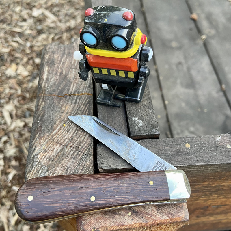 4A6430E6-799A-4E83-9B3D-8443B6FA340C_1_201_a