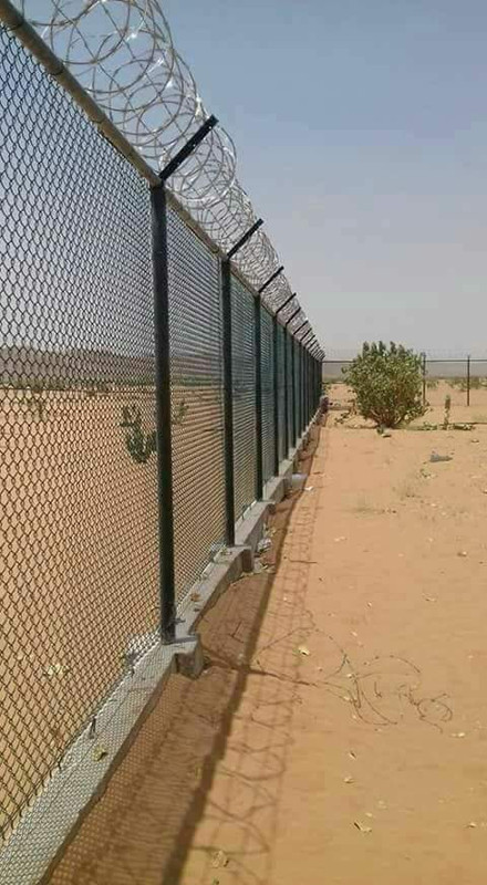 شبوك في الاحساء