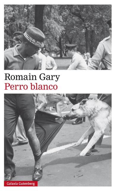 Perro Blanco Romain Gary ábrete Libro Foro Sobre