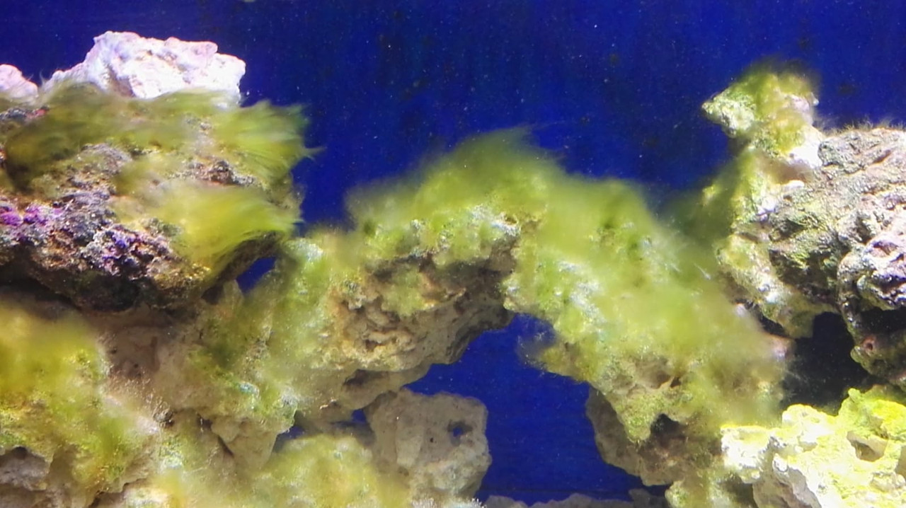 WhatsApp Image 2019-07-01 at 12.37.04 (2)