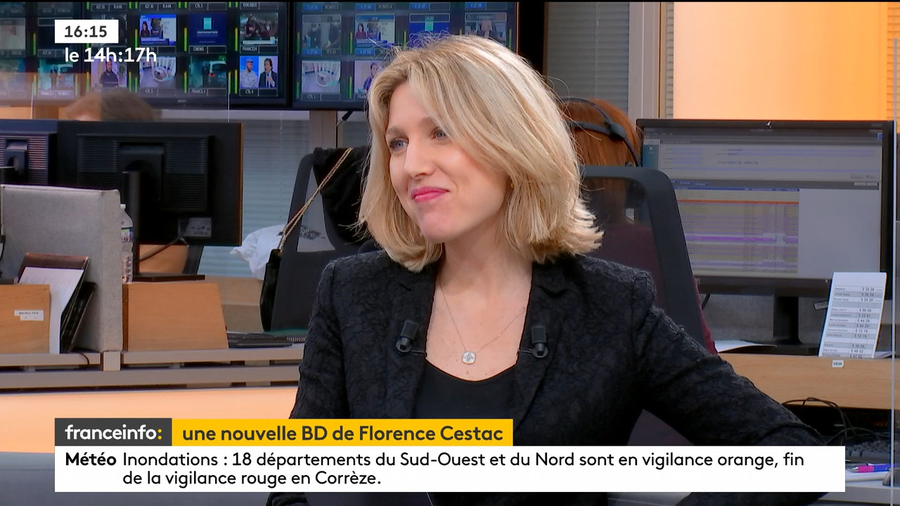 02.02 - 12.59.00 - Le 14h-17h. Au sommaire   Vrai ou fake. - francein..._002.ts_snapshot_11.46.854