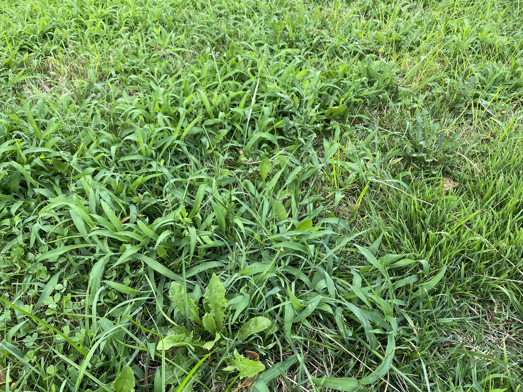 366B8521-E952-4037-8DAB-FDEAE0FDA4B5