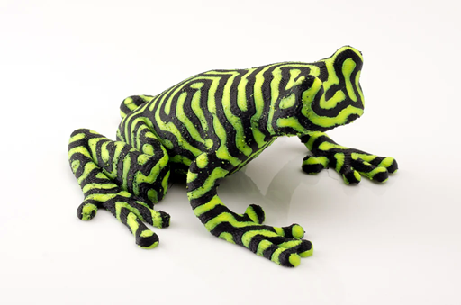 frog4-b4c7722f-bdef-4af4-b0a6-92535b7fe667.png