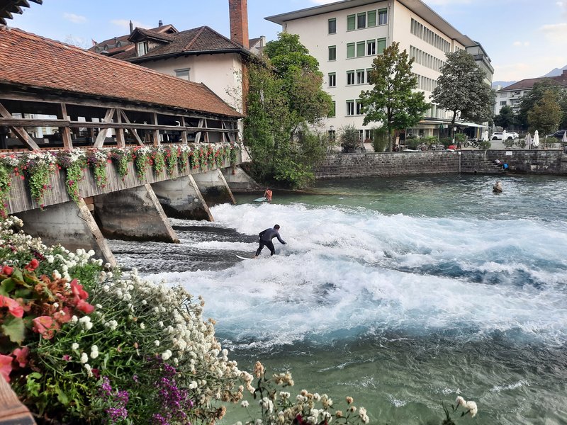 Dia 20: Excursión en barco por Thunersee: Spiez y Thun. - Suiza: nueve días en transporte público. (11)