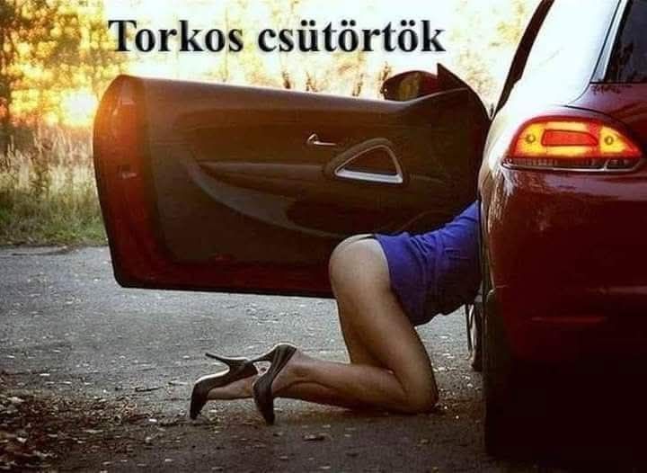 654359138 4407143716200262 6428912636322548434 n