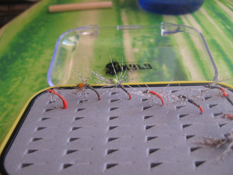 кебари серка