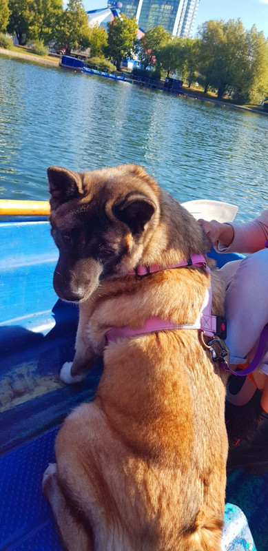 E3131789-B60A-4E85-8FF7-A60A55C26478