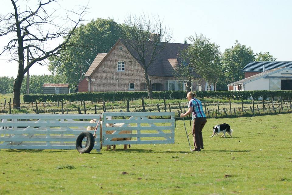 Afbeelding