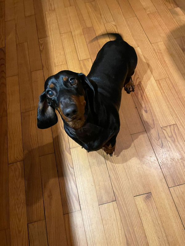 [Image: IMG-20251013-WA0012.jpg]